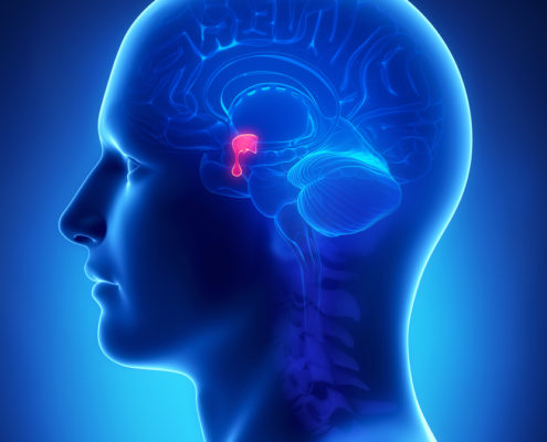 shutterstock_103381445